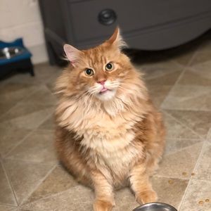 Meet your Posher, Tessa